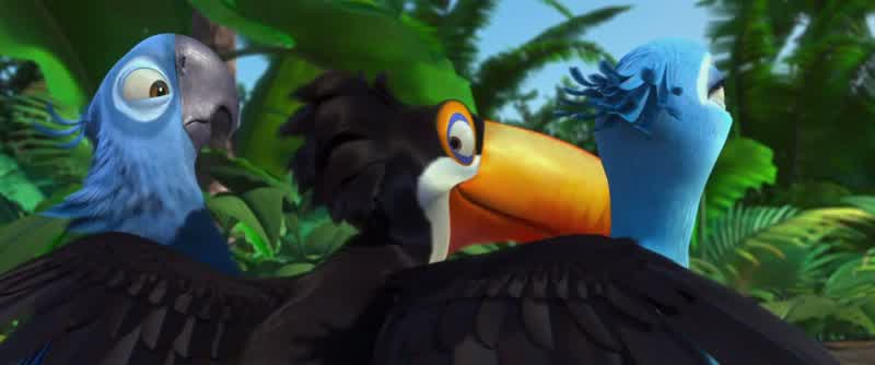 So how far is this LuizNot far Thirty minutes as the crow fliesAnd how long as the macaw walksBobo here can't fly But he's a birdNot all birds flyThere are ostrichesYou're not an ostrichNot