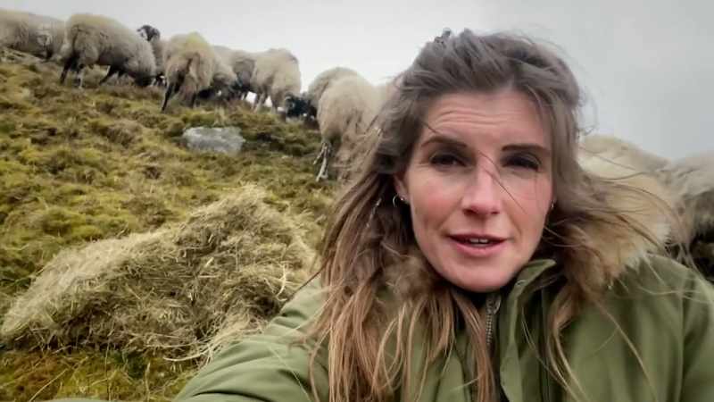 So, I brought my sheep down off the tops this morning