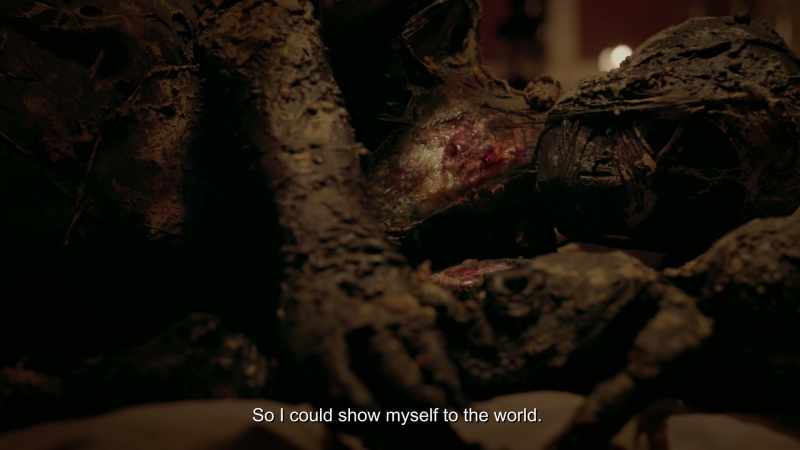 So I could show myself to the world