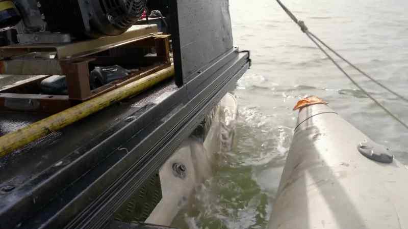 So I did everything my brother said to do