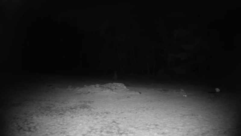 So, I got some motion detectors, I got some chairs set up. OK