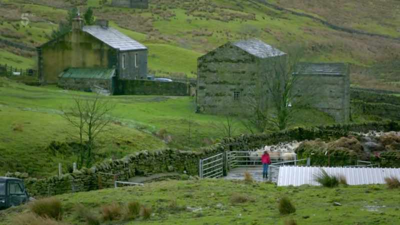So, I just need them into that pen. Come on, then, let's go through