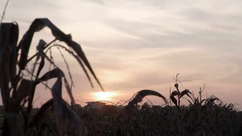 so-i-think-its-a-good-time-to-start-talking-landscape