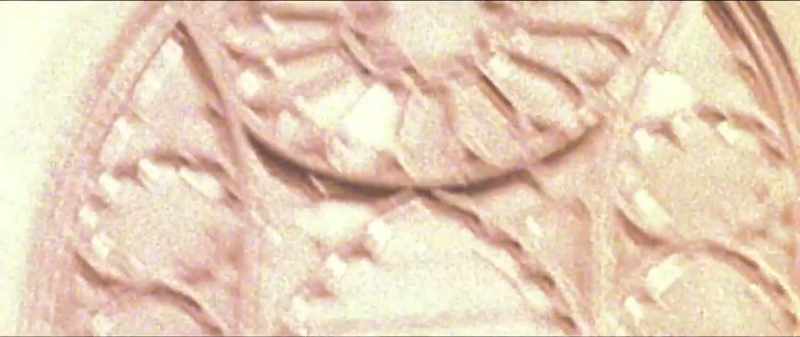 So, I think it's important to say that my uncle