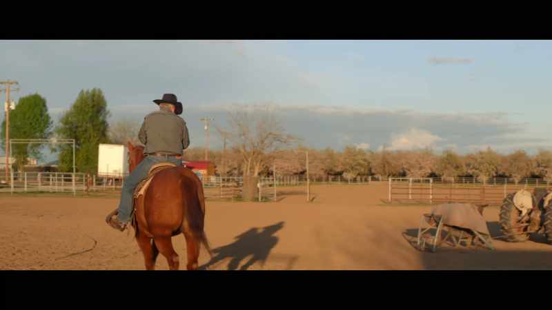 So, I'm gonna cowboy up tomorrow and go