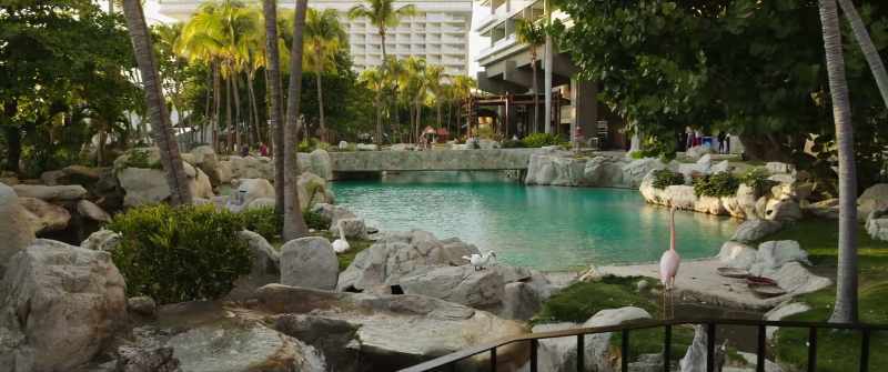 So I'm here for the, uh, Anarchapulco event