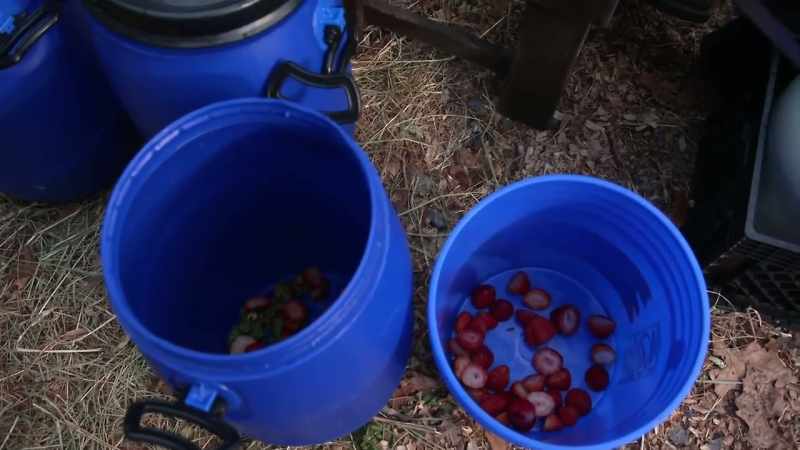 So I'm using some strawberries