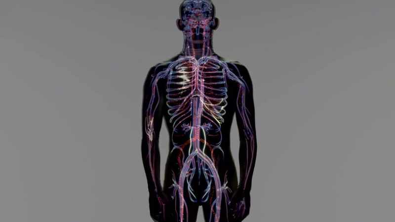 So immunotherapy is really exploiting your immune system