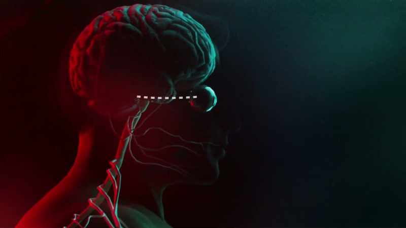 So in essence, that visual cortex