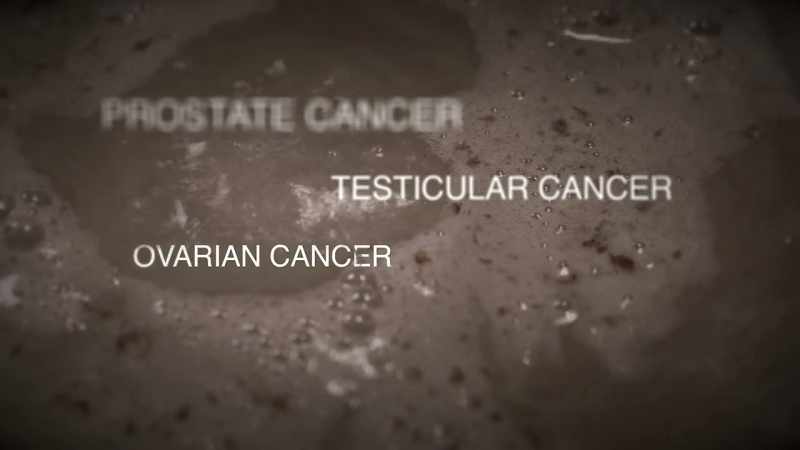 So that includes prostate, testicular, ovarian