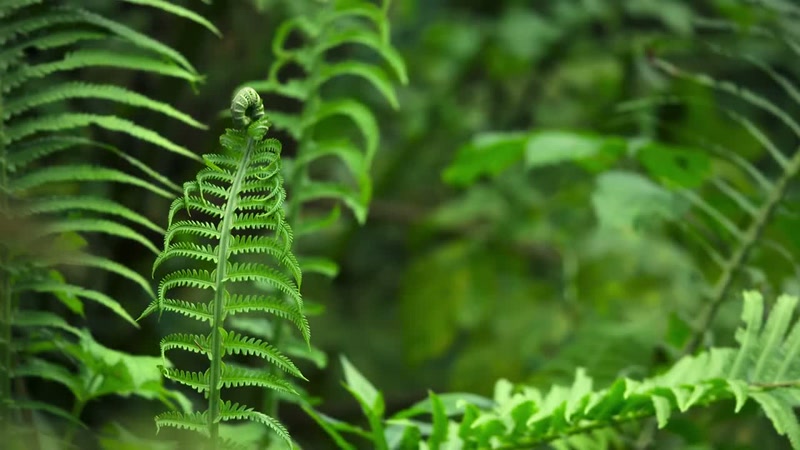 So, this is a pretty good time to be an animal who eats