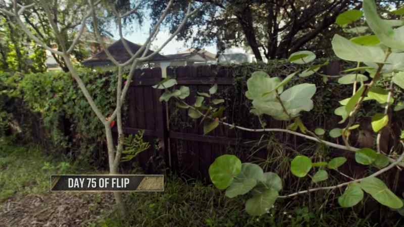 So, is this landscaping