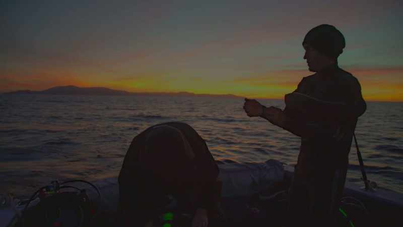 So, knowing how we've already so decimated the oceans