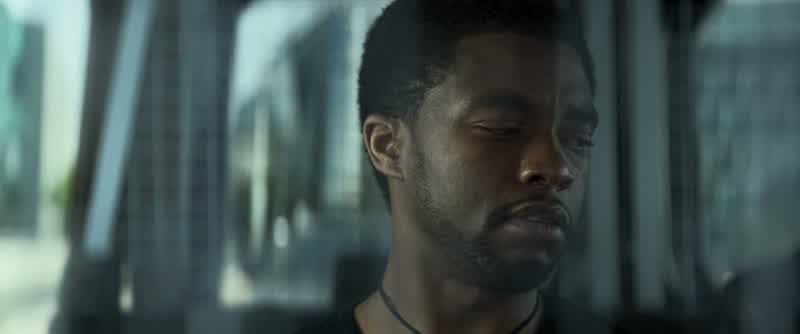 The black panther has been the protector of wakanda for generations