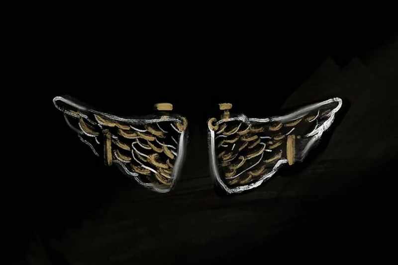 So he made wings, he made wings of wax