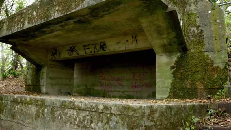 So it makes perfect sense he would demand a gun emplacement