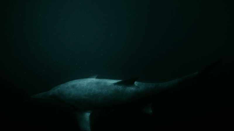 So this monster could well be our prime suspect