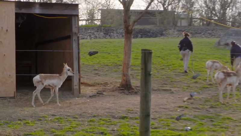 So this morning we're going to catch him up
