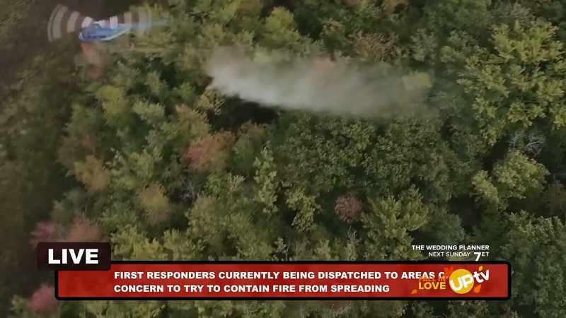 So no surprise, this latest bush fire
