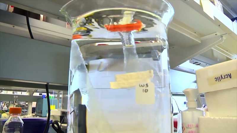 So now the cutting edge of immune science