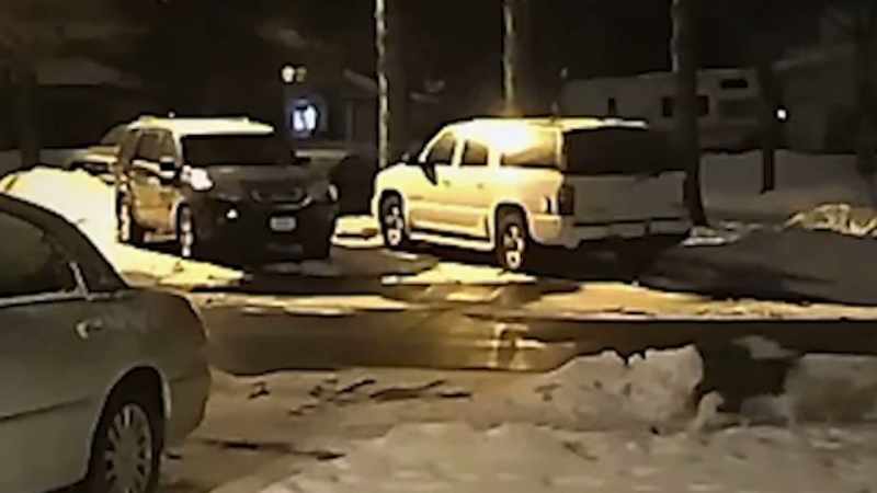 So, our frustrated neighbors plan a surprise