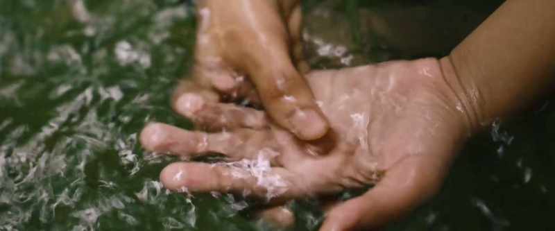 So, our hands also have roots