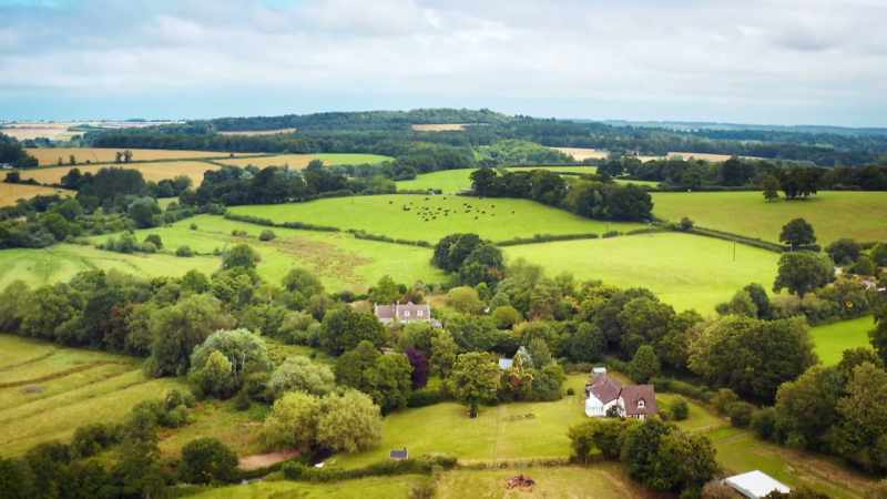 'So, potentially, that's whole forests saved