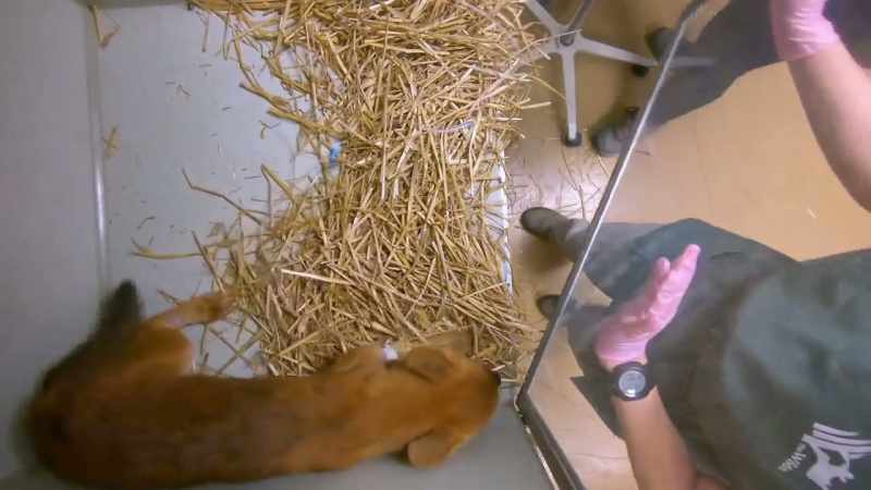 So, we put her in an incubator