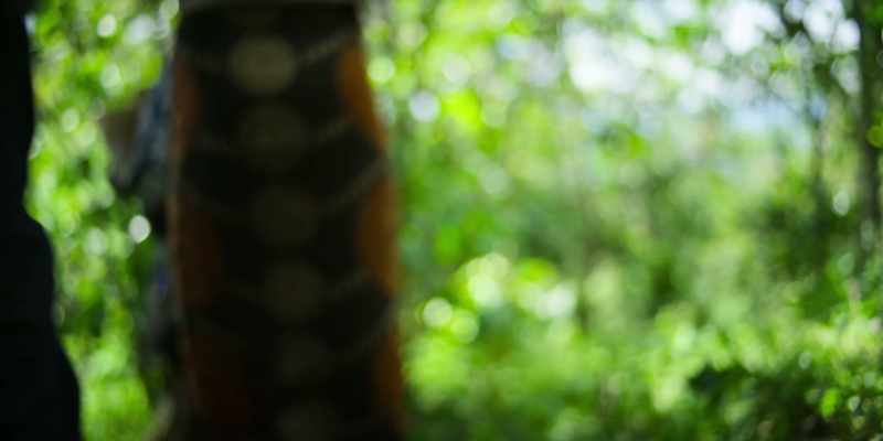 So you see, that's the difference with Rwandan specialty coffee