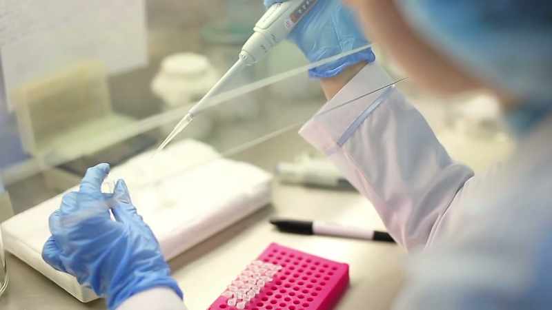 So they separate this Y chromosome, the male chromosome