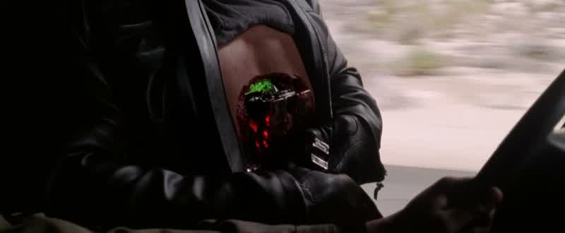 So she's an anti Terminator TerminatorYou've gotta be shitting meNo I am not shitting you