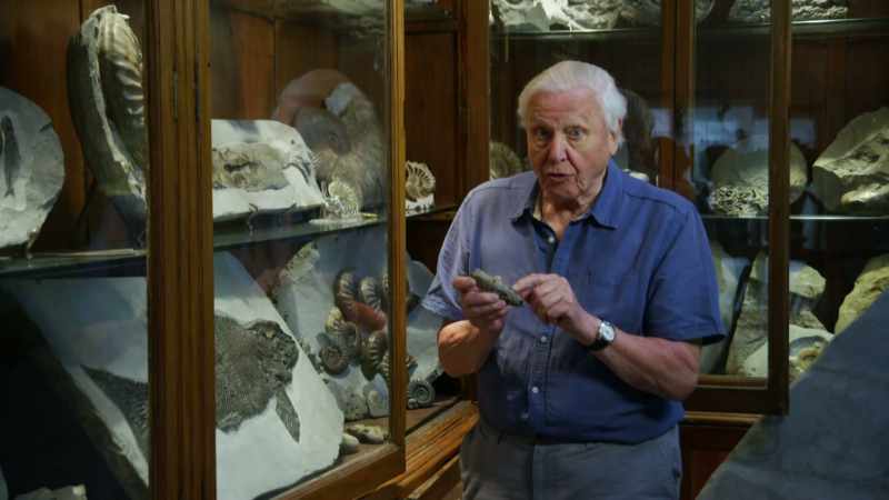So that shows that ichthyosaurs were fish eaters