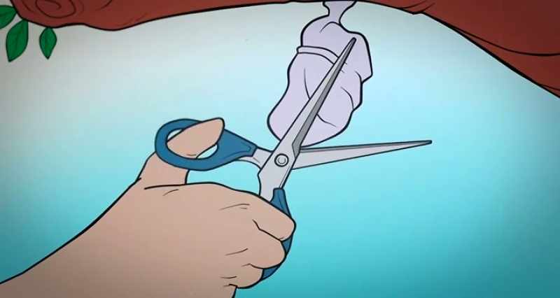 So, he takes his pair of scissors and he snips the chrysalis