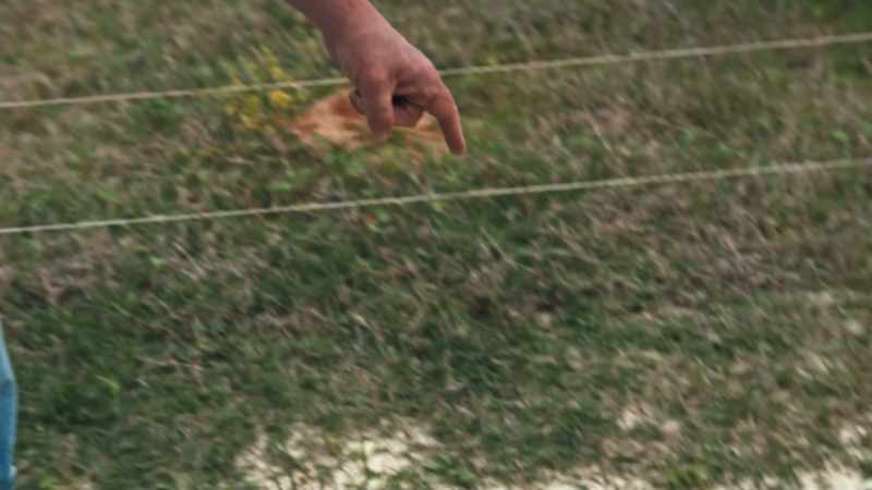 So that is Bermuda grass