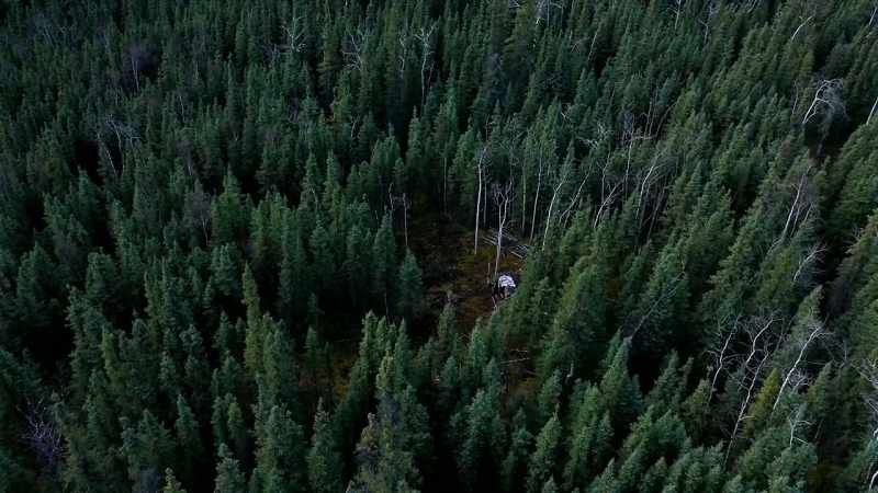 So that's why I bought a plot of land that is half the