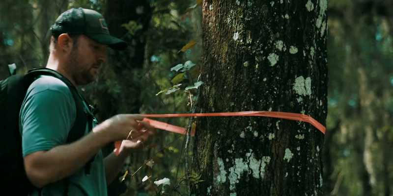 So that's why I tied the ribbons to trees