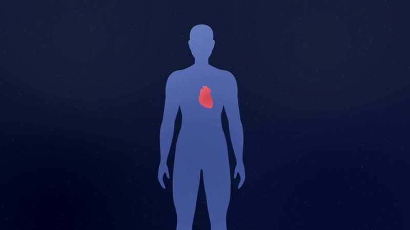 So the heart's magnetic field can