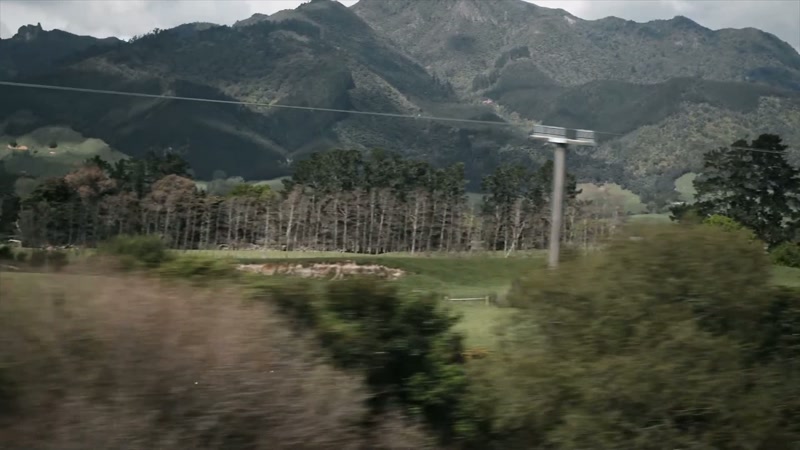 So, the potential connections with this Irish gang