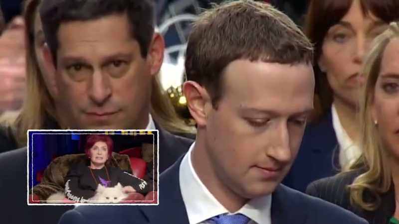 So my theory is not wrong, we... you do believe that he is possibly a lizard alien