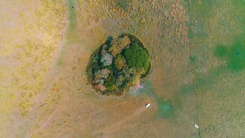 SO THESE REMAINS COULD MEAN THAT EARLY AMAZONIANS