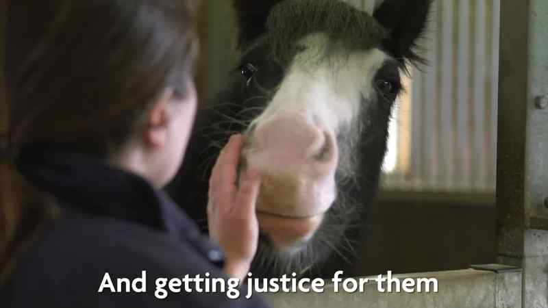 So when they think of the RSPCA, they think