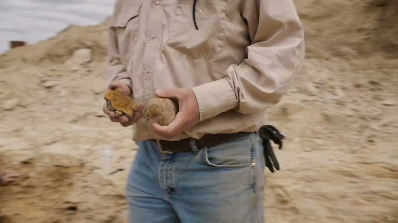 SO THEY'LL ASSESS THE FOSSILS AND DETERMINE