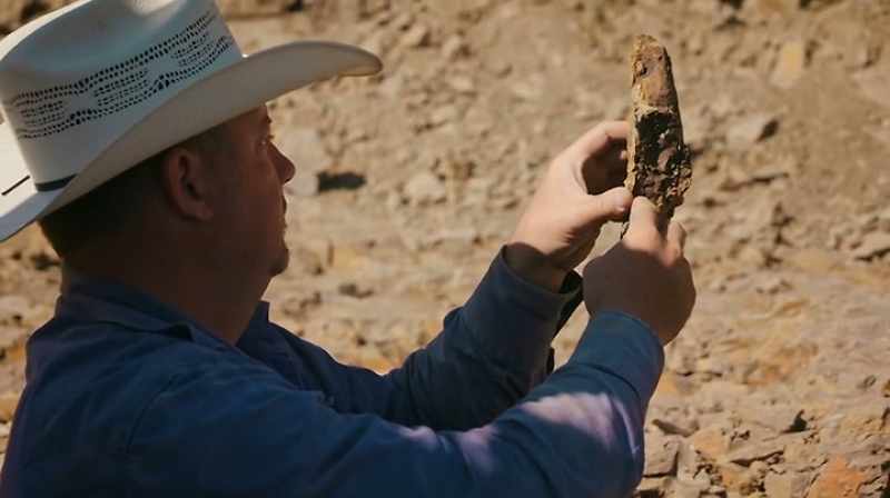 SO THIS TRICERATOPS WAS PROBABLY 3 TO 4 YEARS OLD