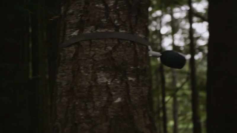 So if those lights return