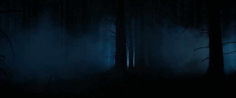 So, they took the path where nobody goes