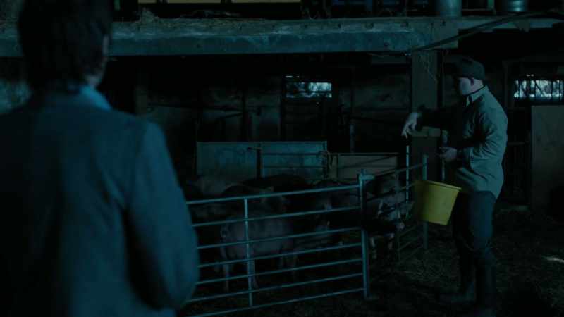 So, um, how do you handle them being, you know, slaughtered