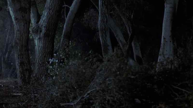 So, you want to play hide-and-seek?