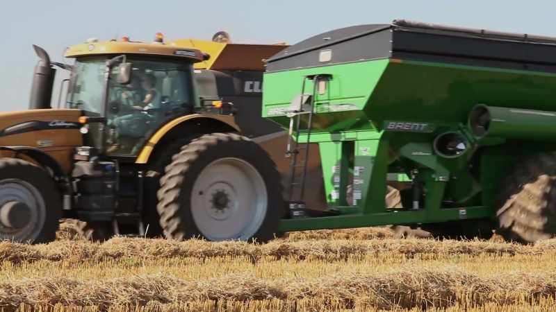 So we're transitioning acres into organic