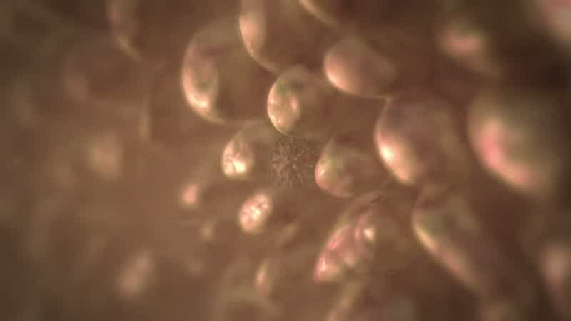 So we've confirmed that the problem is this mutated virus