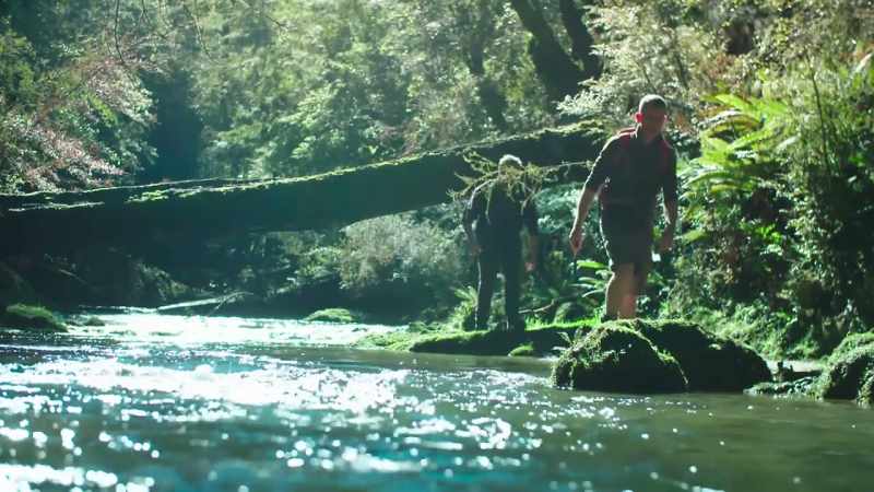 So, we've spent hours going up this stream